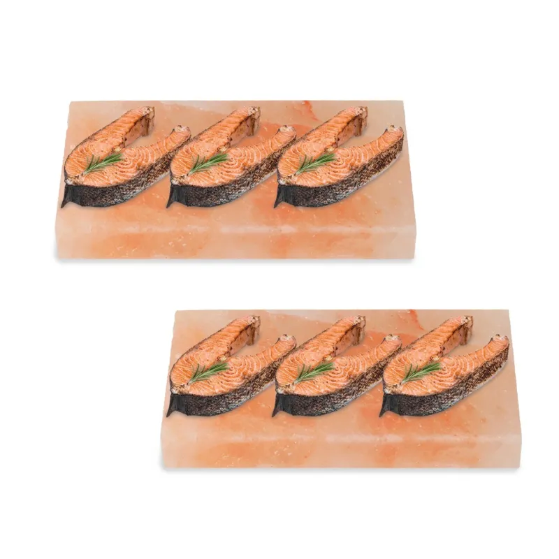 BMOT Grill Salzstein BBQ 20x10x2.5CM 2er Set
