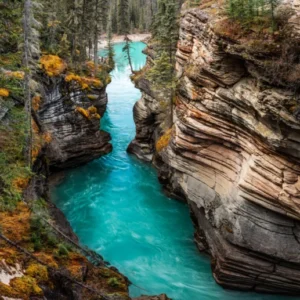 Duschrückwand-Athabasca Wasserfälle - Kanada