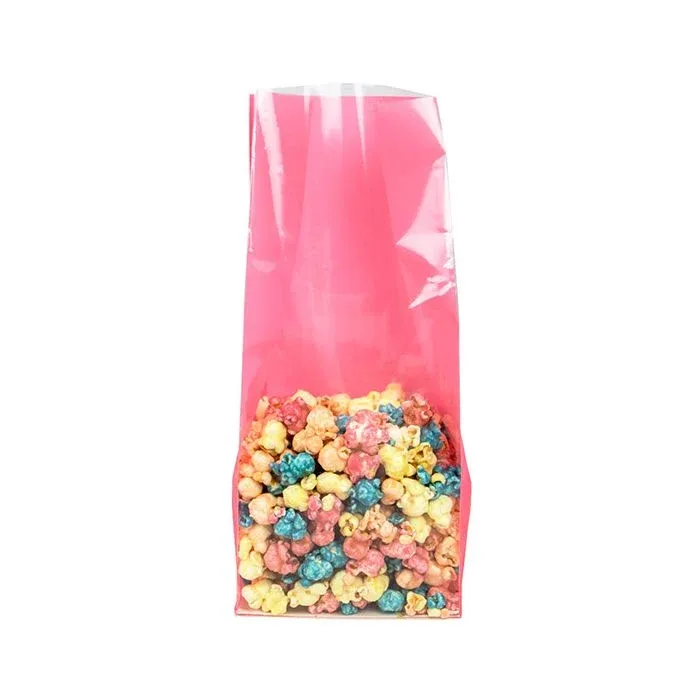 Block Bottom Bags Neon Pink w/ Paper Insert 12,7x7,6x30,5 cm