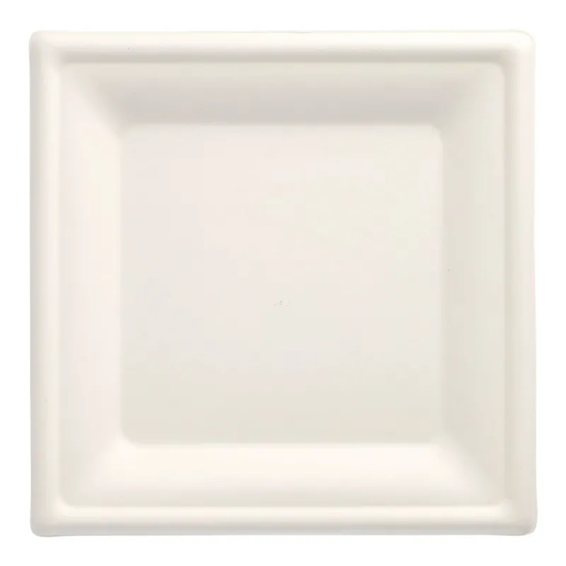 Papstar Pure Teller Zuckerrohr, eckig, 20 x 20 cm 1 Karton (10 Packungen × 50 Stück)