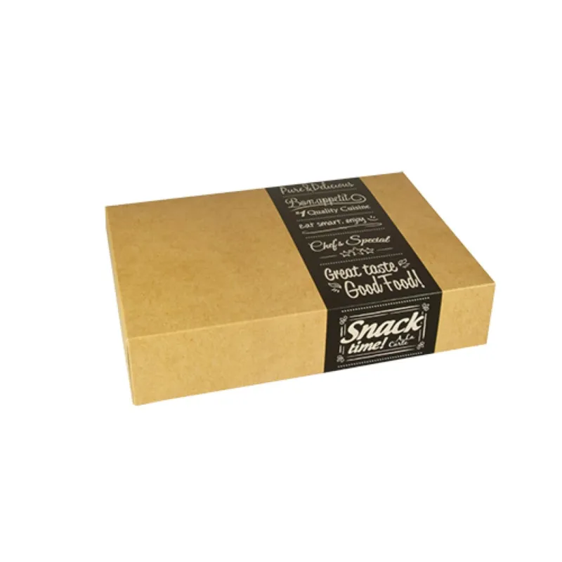 Papstar Pure Transport- und Catering-Kartons, eckig 1 Packung (10 Stück), Klein